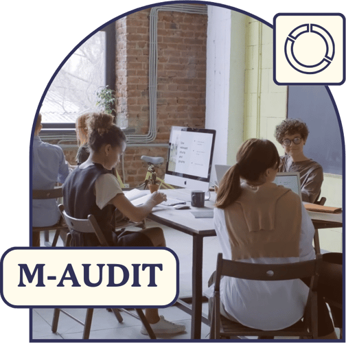 M2M_solution_audit-2